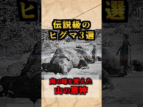 【最恐】伝説級のヒグマ3選 エゾヒグマ
