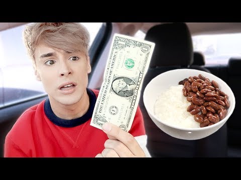 i only spent 1 DOLLAR on FOOD for 24 hours !!!
