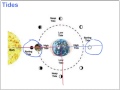 Celestial Bodies and Their Interactions