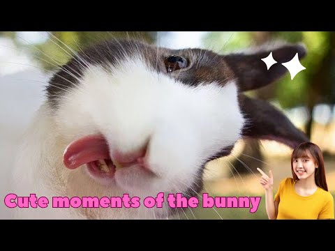Cute moments of the bunny #bunny #rabbit