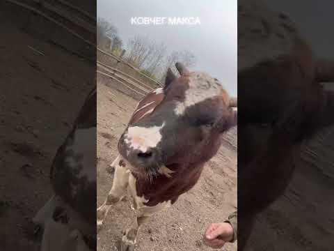 5 ноября 2025 г.