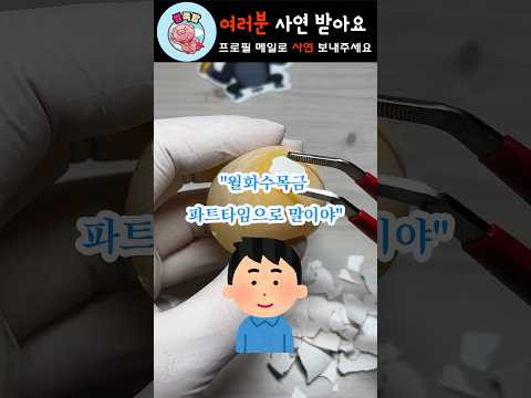 원치 않던 세쌍둥이를 임신했어요
