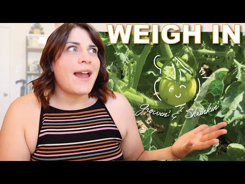 Garden Update, Trying New Recipes, & FINALLY 40lbs Down! || Weigh In Vlog