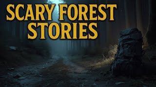 6 Disturbing TRUE Forest Stories You Shouldn’t Hear Alone