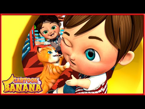 Gatinho Aventureiro - Canções para bebês - Canções infantis e canções infantis