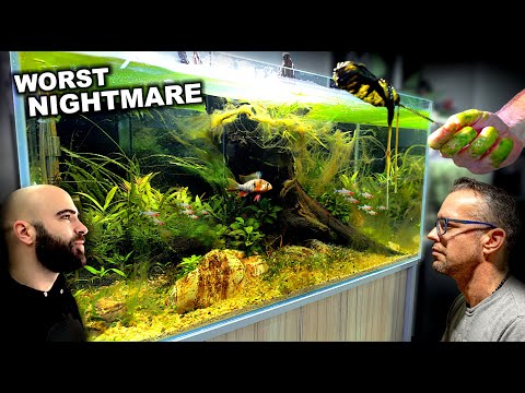 I messed up... PRO aquascaper makes aquarium in my studio (aquascape tutorial)