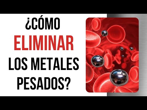 ESTRATEGIAS para COMBATIR el efecto de los METALES PESADOS - Dr. Sergio Mejía