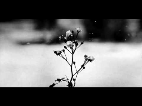 Chopin - Spring Waltz (Mariage d'Amour) [Please Read Description]