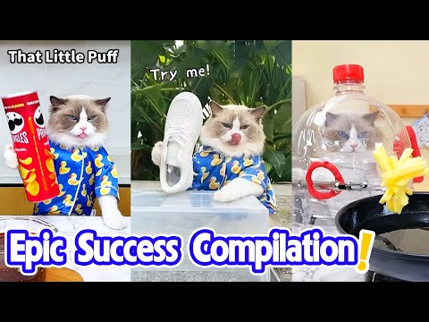 Epic Success Compilation 2025😜 | That Little Puff
