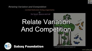 Relate Variation And Competition