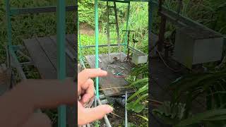รีวิวชีวิตสมปองเย็นนี้ เพิ่มพื้นที่ไว้ชมหิ่งห้อย