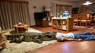 Man's Wife Always Pretends to Be Dead At Home.
