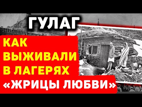 ГУЛАГ: ЖЕСТОКАЯ СУДЬБА И ВЫЖИВАНИЕ ПРОДАЖНЫХ ЖЕНЩИН В ЛАГЕРЯХ