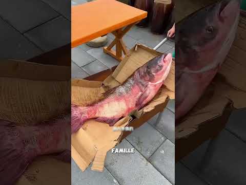 Elle relâche un poisson rouge, mais l’histoire ne s’arrête pas là !