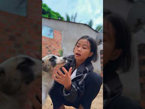 Vì Cún Mà Cô Bé Đáng Thương bị mẹ mắng #alungmax