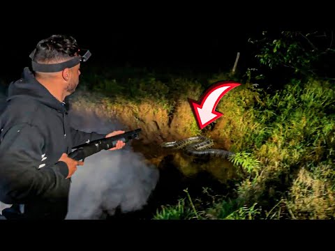URGENTE🚨 O RENATO ATIROU NA ANACONDA NO RIO DA FAZENDA! *sucuri gigante*