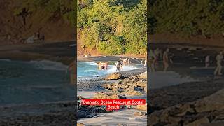 Сегодня на пляже Окоталь,спасение #костарика #costarica