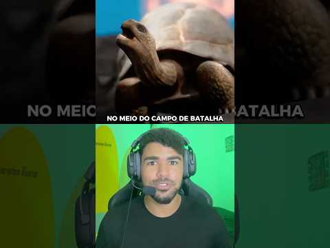 ELE ACHOU UMA TARTARUGA NO MEIO DA GUERRA! 🐢 #curiosidades #fatos #shorts #turtle #tartaruga #yt