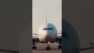 Beauty Arrives - Turkish Airlines