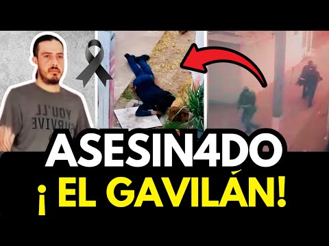 Así CAYÓ EL GAVILÁN en CULIACÁN - QUEDÓ ACRIBILL4DO EN EL PISO