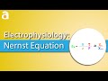 Nernst Equation and Equilibrium Potential