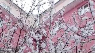 Erzurum'a karlar yağar, kar altında güllerin var...