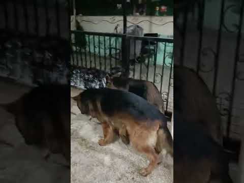 اتصدمت لما لاقيت رعد بيغفلني كدا خلااااص كفايه