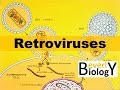 Retrovirus Replication and Function
