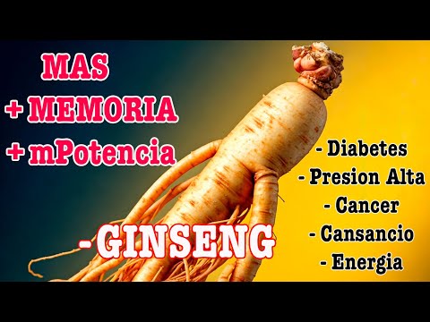 ¡Descubre el Secreto del Ginseng! La Raíz Milagrosa