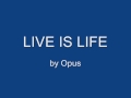 Understanding the Essence of Life