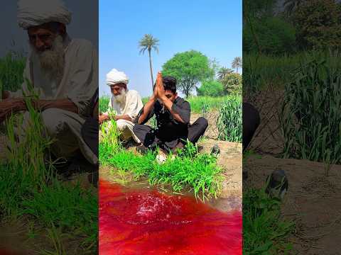 Allah dekh raha hai #foryou #trending #pakistan #india #shorts