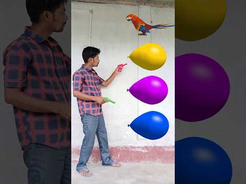 June 22, 2023 Birds Names - Funny vfx magic balloon video 🦜🕊️🦚🦢