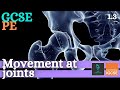Exploring Movement at Joints in Anatomy and Physiology
