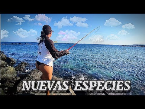 INCREÍBLE día de PESCA para mí MUJER 🔥🎣 Nuevas ESPECIES 🤯 (Tenerife, Islas canarias) || YoSoyHader