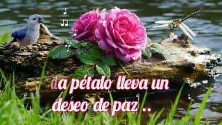 🌷🍃FELIZ JUEVES🌷🍃 buen día 🌻