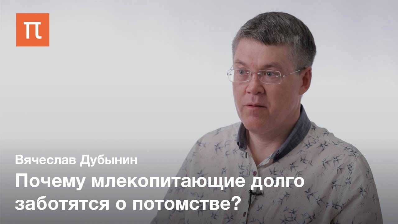 Мозг родителя - Вячеслав Дубынин
