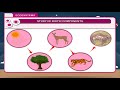Ecosystem Components and Roles