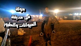 جولة في حديقة عالم الحيوان والطيور ( ولكن في شيء صدمني ) 😑