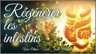 Méditation guidée - Régénérer et apaiser les intestins, éclairer l’esprit- Reprogrammation cérébrale