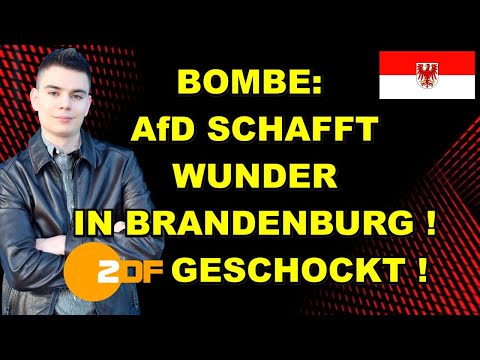 AfD-WUNDER in Brandenburg! ZDF GESCHOCKT!