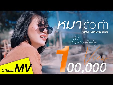 หมาตัวเก่า - น้องนุช ประทุมทอง นิลวัน [ Official MV ]