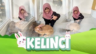 KELINCI - LAGU ANAK TERBAIK