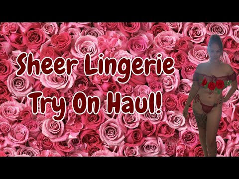 Sheer Lingerie Try On Haul!