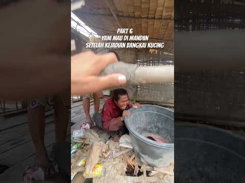 yani mau di mandiin setelah kejadian bangkai kucing #bangkai #kucing #makankucing #trending #viral