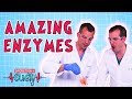 Exploring the World of Amazing Enzymes