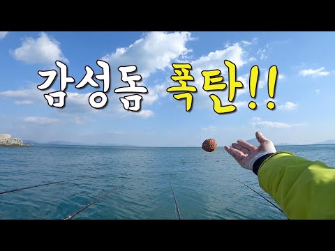 [다리tv] 감성돔 폭탄 들어갑니다!!!