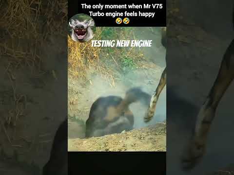 Kasongo yeye Mr warthog v 16 testing the new engine 🤣🤣🤣 #shorts