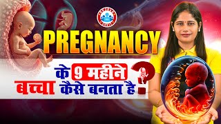 Pregnancy के 9 महीने में बच्चा कैसे बनता है? Journey of Life: From Fertilization to Birth 👶