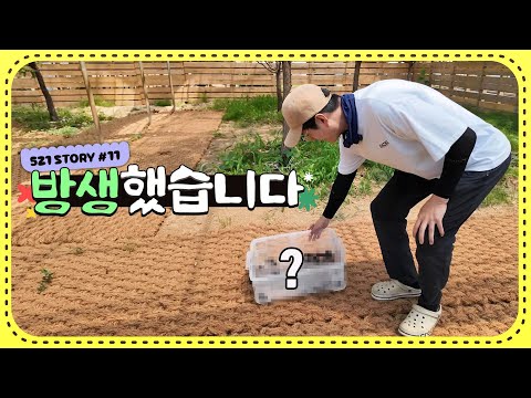 드디어 첫 방생! 과연 잘 정착해줄까요?