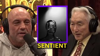 Michio Kaku: ChatBots Are Not Sentient | Joe Rogan Experience